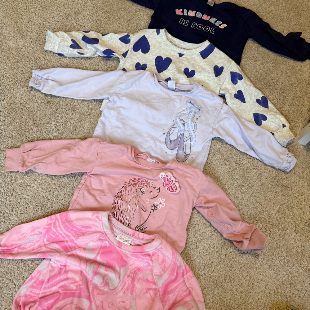 Girls' Long Sleeve Shirts Bundle Lot 3-4T